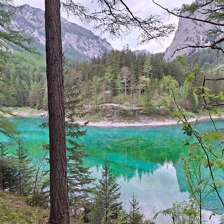 Haus Bergblick Fruehstueckspension Oberort Dış mekan fotoğraf