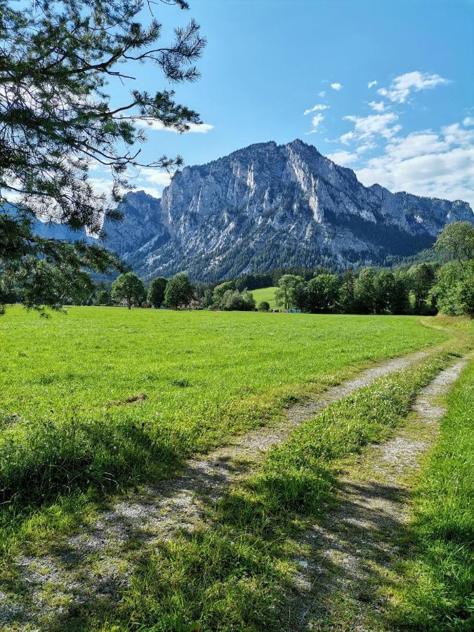 Haus Bergblick Fruehstueckspension Oberort Dış mekan fotoğraf