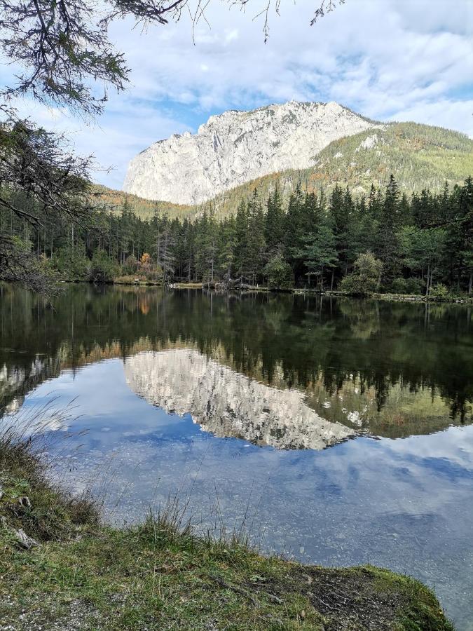 Haus Bergblick Fruehstueckspension Oberort Dış mekan fotoğraf