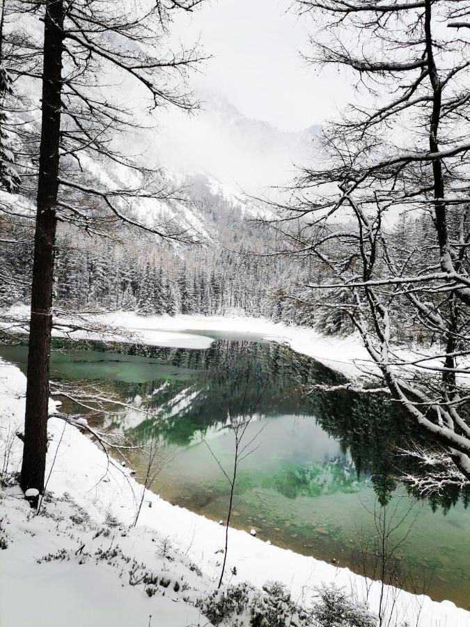 Haus Bergblick Fruehstueckspension Oberort Dış mekan fotoğraf