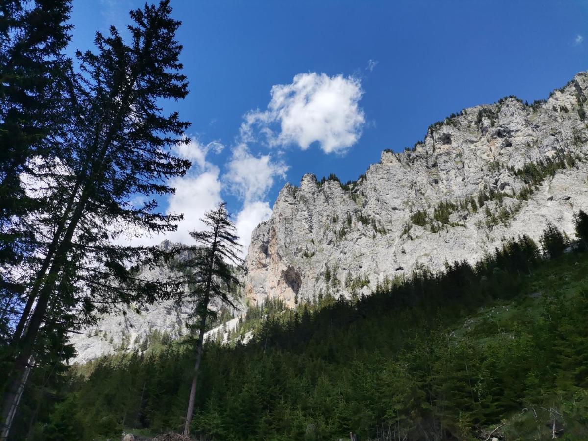 Haus Bergblick Fruehstueckspension Oberort Dış mekan fotoğraf