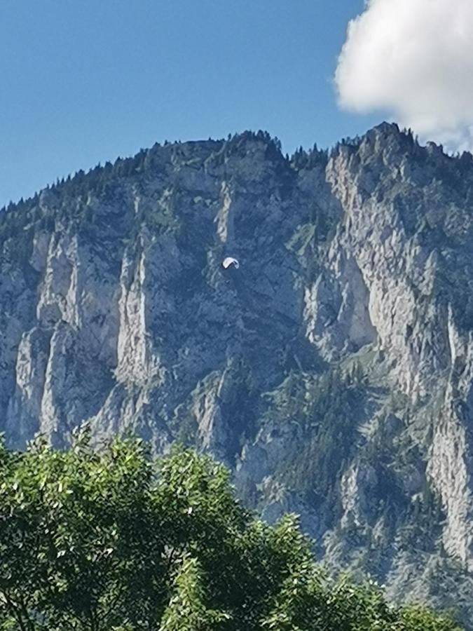 Haus Bergblick Fruehstueckspension Oberort Dış mekan fotoğraf