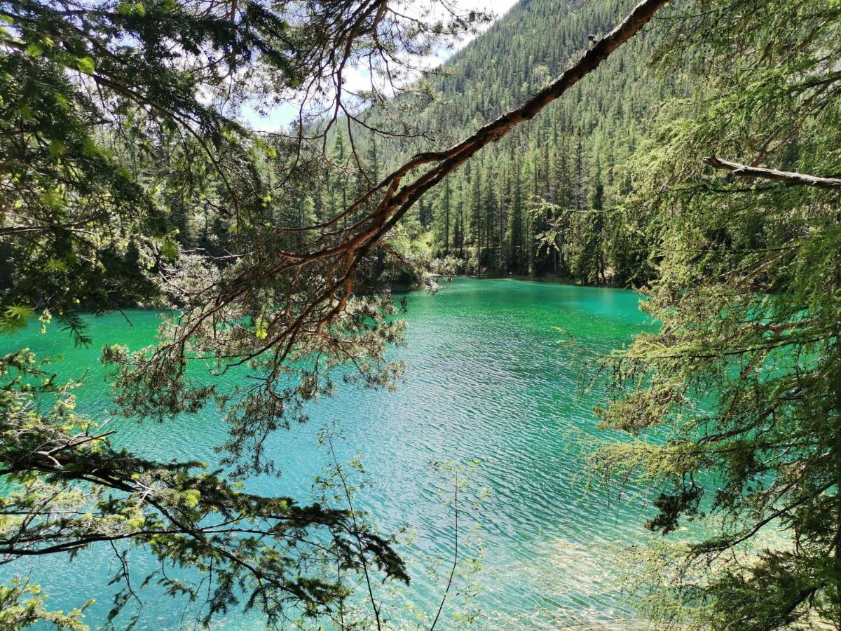 Haus Bergblick Fruehstueckspension Oberort Dış mekan fotoğraf
