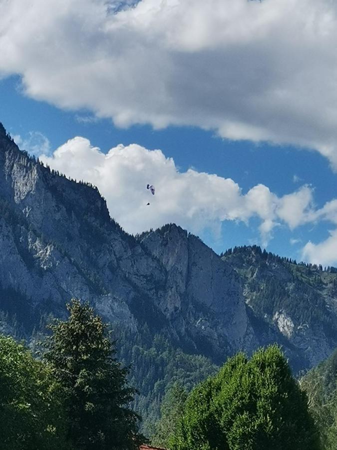 Haus Bergblick Fruehstueckspension Oberort Dış mekan fotoğraf