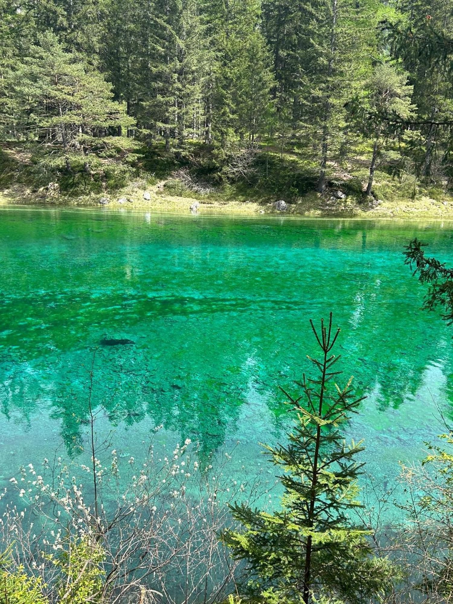 Haus Bergblick Fruehstueckspension Oberort Dış mekan fotoğraf