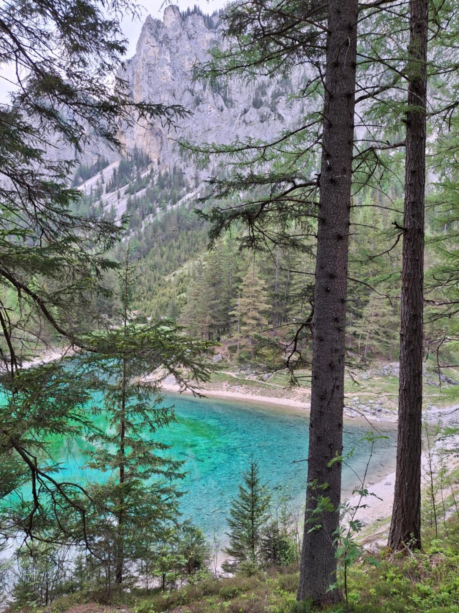 Haus Bergblick Fruehstueckspension Oberort Dış mekan fotoğraf