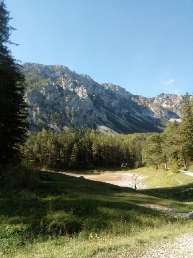 Haus Bergblick Fruehstueckspension Oberort Dış mekan fotoğraf